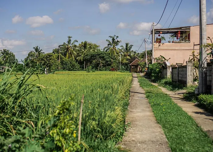 ロッジ Rimba Bali *