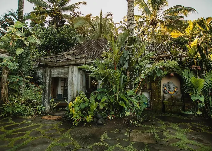 Rimba Bali *