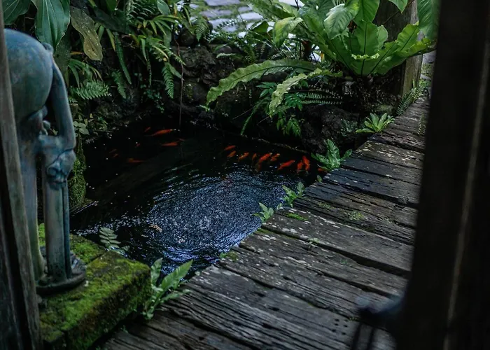 Rimba Bali ロッジ ウブド